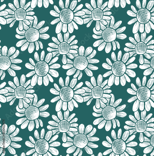 Seamless vector pattern with daisy flowers on a turquoise background. Monochrome botanical illustration with wildflowers. Hand-drawn line art with flower silhouettes.