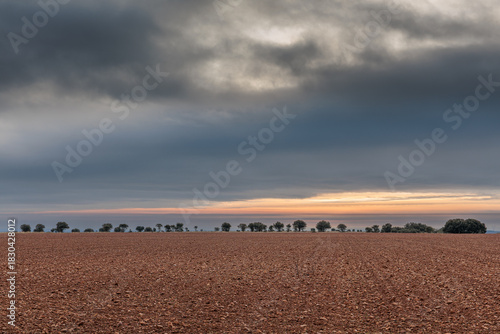 Farmland, holm oaks and a cloudy sky at dawn. Quercus ilex. Ardoncino, León, Spain.