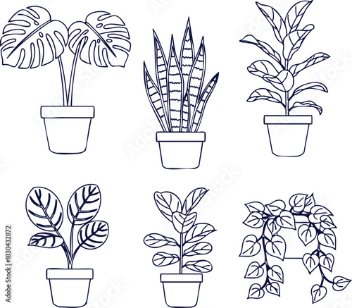Line art of six potted plants including Monstera, Snake Plant, and Fiddle Leaf Fig for minimalist decor and botanical illustrations