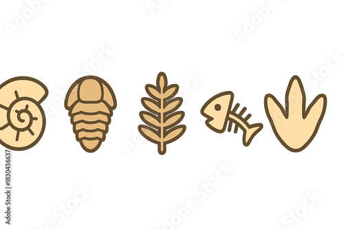 Prehistoric paleontology fossils set including ammonite, trilobite, fish skeleton, and dinosaur footprint
