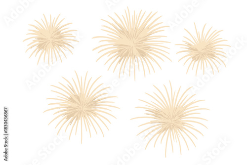 Dried pampas grass and palm frond elements for bohemian and natural design