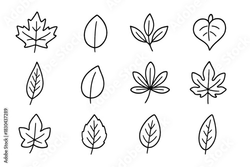 Simple hand-drawn outline icons of diverse botanical leaves and foliage shapes