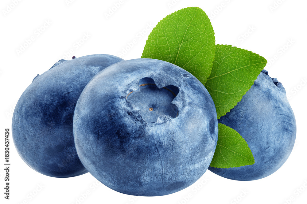 Obraz premium Blueberry isolated, full depth of field