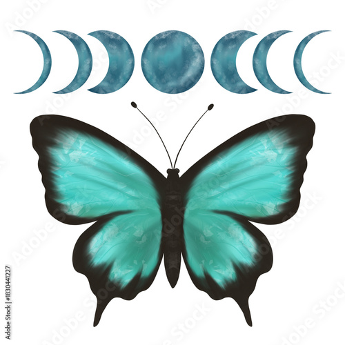 Wonderful delicate turquoise and green butterfly and moon phases. Hand made digital illustration, isolated object