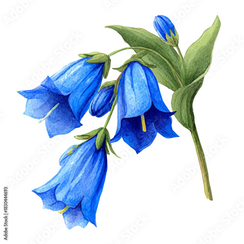Bluebell in detailed isometric watercolor art, isolated on a pure white backdrop.