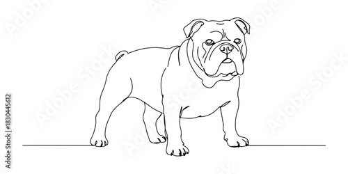 Continuous one line drawing of a bulldog with a wide body posture, representing loyalty and character, line art style vector illustration.