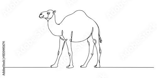 Continuous one line drawing of a humped camel, representing endurance and travel, line art style vector illustration.