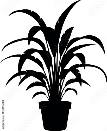 Silhouette houseplant in pot