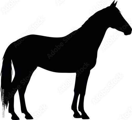 Black horse silhouette standing profile