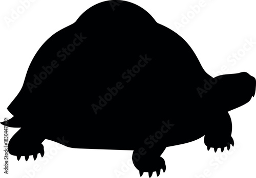 Black tortoise silhouette