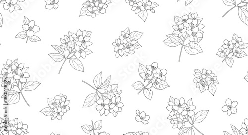 Seamless pattern with delicate outline drawings of jasmine flowers and leaves on a white background.