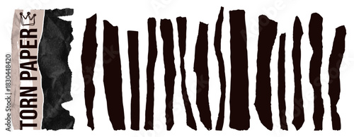 Set torn rectangle paper shape with jagged edges and rough stripes.