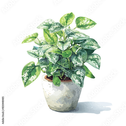 Watercolor isometric artwork featuring Silver Pothos, presented on white background.