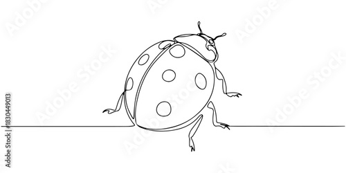 Continuous one line drawing of ladybug with round shape and spots, symbolizing nature and good luck, line art style vector illustration.