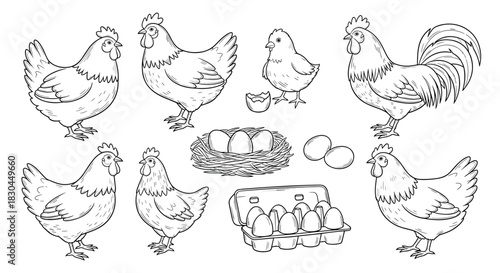 Black and white hand-drawn vintage style illustrations of chickens, a rooster, a chick, a nest with eggs, and an egg carton, perfect for farm or food themes.