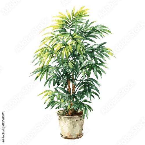 Artistic isometric watercolor image of Parlor Palm, isolated on a white surface.