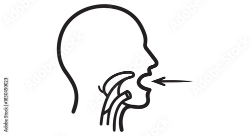 Illustration depicting a human head in profile with an arrow pointing to the mouth and associated anatomical structures