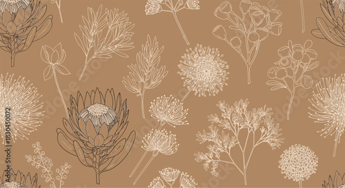 Seamless botanical pattern with detailed outlines of diverse fynbos flora including protea and eucalyptus, in neutral tones on an earthy brown backdrop.