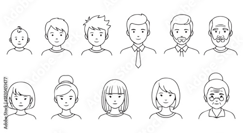 Progression of males and females through life stages, illustrating a human aging process with different stages of growth and development
