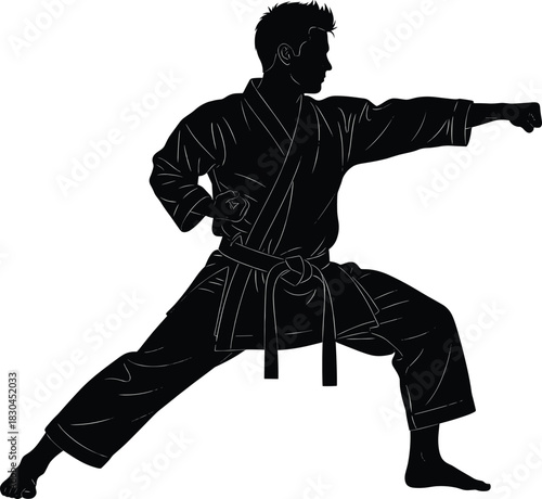 Martial arts silhouette, karate pose, traditional gi, strong stance, focused fighter, combat training, discipline, strength, balance, technique, self-defense, action,