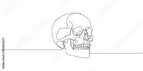Continuous one line drawing of a skull, symbolizing death and power, line art style vector illustration.
