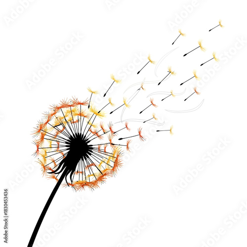 Dandelion Seeds Blowing in the Wind A Vector Illustration of Nature's Beauty
