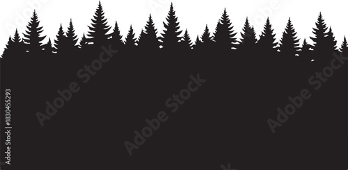 Silhouette of forest trees in a dark coniferous woodland