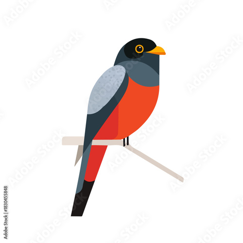 Modern flat 2D vector illustration of a Trogon, minimal design style on a white background.