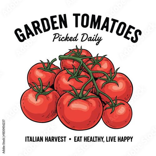 Fresh red garden tomatoes on the vine with green leaves and text vector illustration.