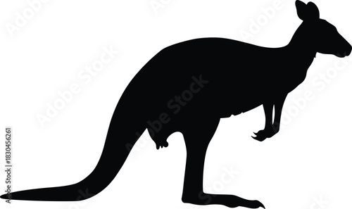 Kangaroo silhouette illustration, Australian wildlife animal design, standing kangaroo profile artwork, nature and wildlife concept artwork