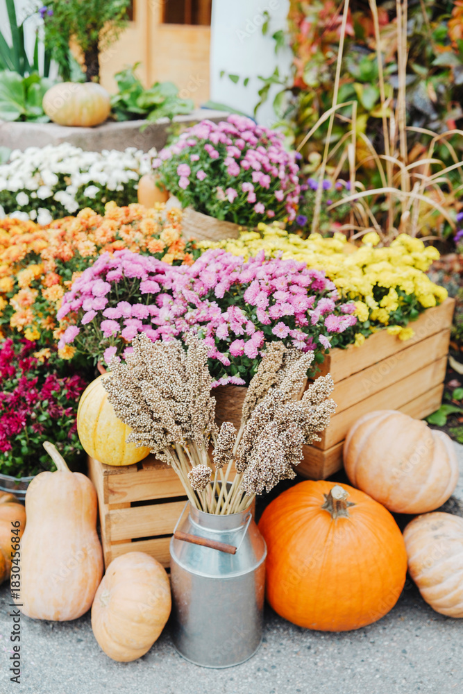 Obraz premium Autumn garden display with pumpkins gourds flowers and grains in wooden crates