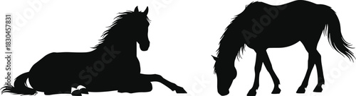 Horse silhouette, resting and grazing pose, black vector, flowing mane, white background, calm animal, nature moment, peaceful scene, posture, elegance