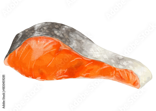 リアルな生鮭の切り身イラスト