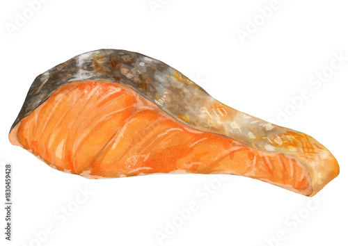 美味しそうな焼き目がついた、リアルな焼き鮭の切り身イラスト