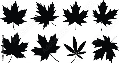 Leaf silhouette vector set, black foliage shapes, cannabis leaf included, botanical diversity, cad drawing flat vector illustration, white background