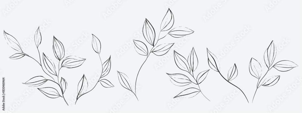 Fototapeta premium Floral line art illustration featuring several delicate, sketchy sprigs and branches with small, pointed leaves