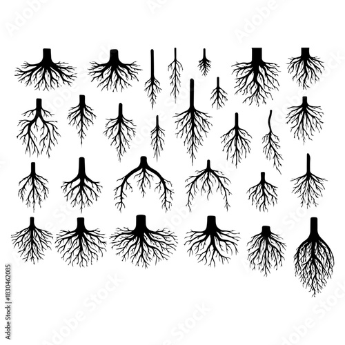 Set of tree roots silhouette pack