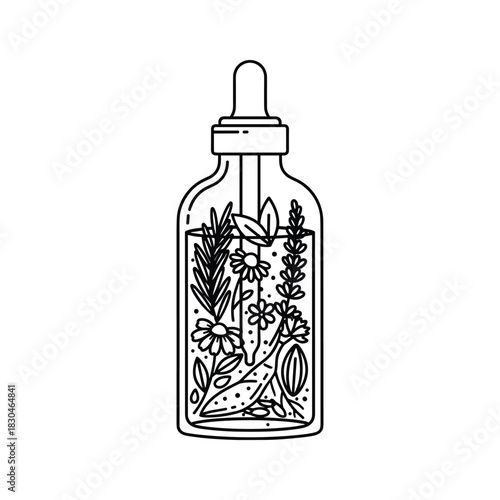 Herbal Essential Oil Dropper Bottle with Botanical Ingredients Line Art Illustration
