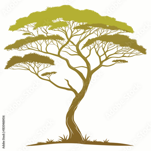 Vector illustration of stylized illustration of a classic african acacia tree with a broad, flat crown