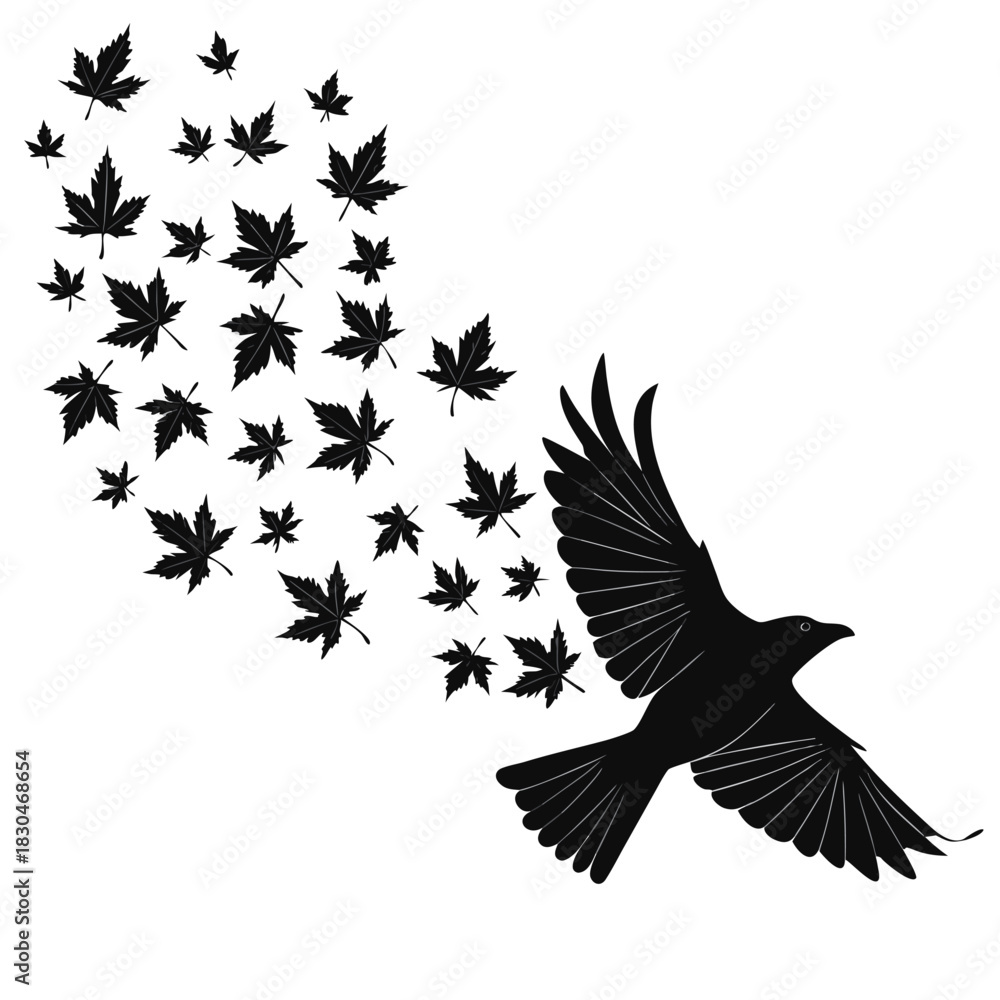 Obraz premium Vector illustration of silhouette of a flying crow transforming into a stream of maple leaves