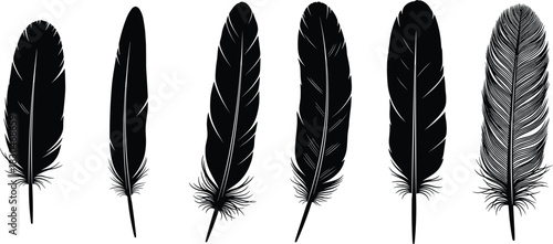 Black Feather Silhouettes Vector Set: Various Shapes, Bird Plumage, Nature, Spirituality, Freedom, Lightweight, Elegant Graphic Design Elements.