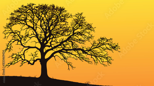 Vector illustration of silhouette of a large, sprawling oak tree against a vibrant gradient background of yellow and orange hues at sunset or sunrise