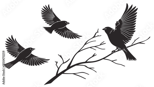 Vector illustration of three black silhouette birds in flight and perched on a bare tree branch