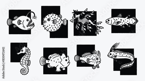 Various sea creatures in graphic illustration black and white design