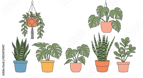 A vibrant collection of diverse potted houseplants, including hanging and standing plants like monsteras and snake plants, on a white background.