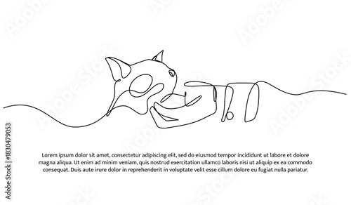 One line of cat health maintenance. Abstract minimal continuous line isolated on white background.