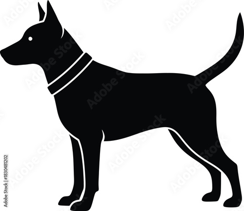 Advanced Adobe Illustrator Vector Artwork with CMYK Color Management and Print Separation Capabilities