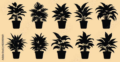 Collection of silhouetted potted houseplants in various shapes and sizes