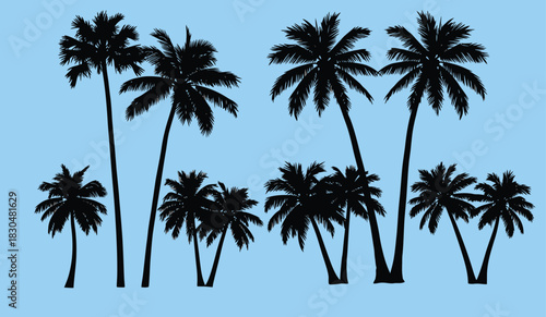 Silhouetted palm trees against a white background illustrating tropical scenery