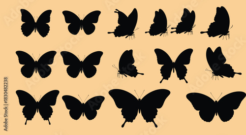 Collection of diverse butterfly silhouettes displayed against a white background